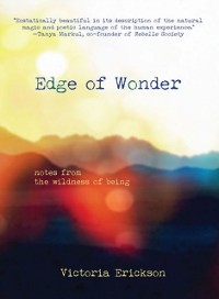 Cover Edge of Wonder