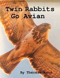 Cover Twin Rabbits Go Avian