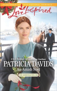 Cover Amish Noel