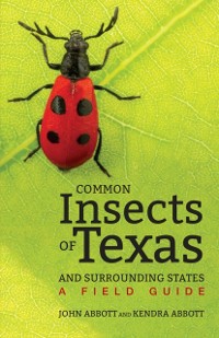 Cover Common Insects of Texas and Surrounding States