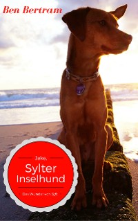 Cover Das Wunder von Sylt