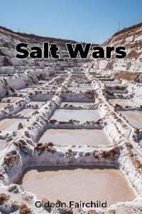 Cover Salt Wars