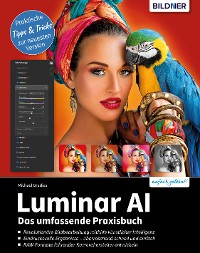 Cover Luminar AI