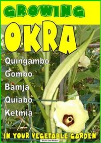 Cover Growing Okra in your vegetable garden