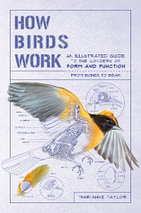 Cover How Birds Work: An Illustrated Guide to the Wonders of Form and Function - from Bones to Beak (How Nature Works)