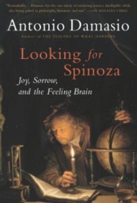 Cover Looking for Spinoza