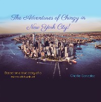 Cover The Adventures of Chingy in New York City!