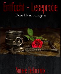 Cover Entfacht - Leseprobe