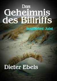 Cover Das Geheimnis des Billriffs