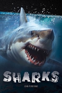 Cover Sharks