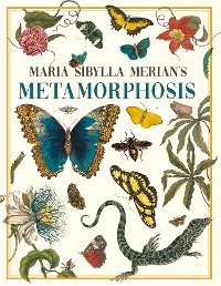Cover Maria Sibylla Merian's Metamorphosis