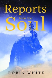 Cover Reports From The Soul