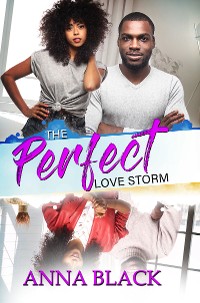 Cover The Perfect Love Storm
