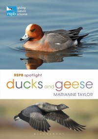 Cover RSPB Spotlight Ducks and Geese