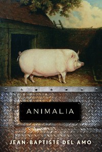Cover Animalia