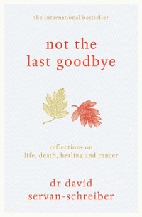 Cover Not the Last Goodbye