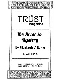 Cover The Bride in Mystery