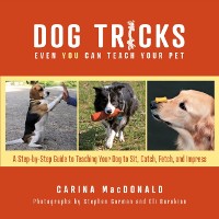 Cover Dog Tricks Even You Can Teach Your Pet