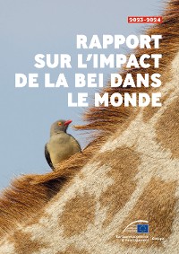 Cover Rapport sur l'impact de la BEI dans le monde en 2023-2024