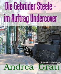 Cover Die Gebrüder Steele - im Auftrag Undercover