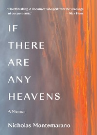 Cover If There Are Any Heavens: A Memoir
