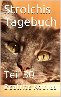 Cover Strolchis Tagebuch - Teil 30