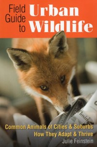 Cover Field Guide to Urban Wildlife