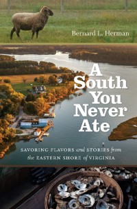 Cover South You Never Ate