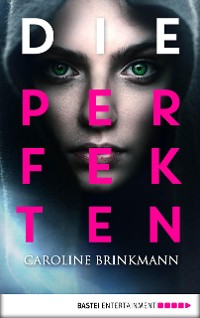 Cover Die Perfekten