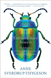 Cover Extraordinary Insects