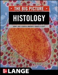 Cover Histology: The Big Picture