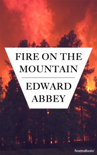 Cover Fire on the Mountain