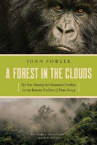 Cover Forest in the Clouds