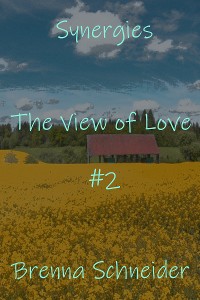 Cover The View of Love