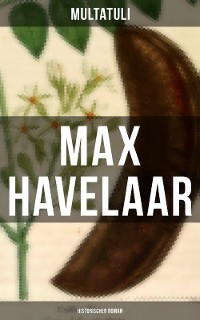 Cover Max Havelaar (Historischer Roman)