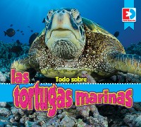 Cover Todo sobre las tortugas marinas