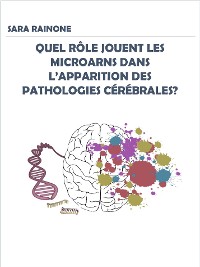 Cover Quel rôle jouent les microARNs dans l’apparition des pathologies cérébrales?