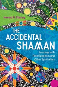 Cover Accidental Shaman