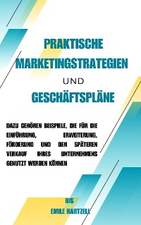 Cover Praktische Marketingstrategien und Geschäftspläne