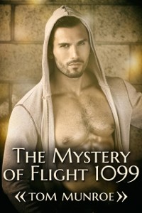 Cover Mystery of Flight 1099