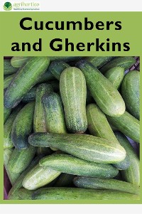Cover Cucumbers and Gherkins