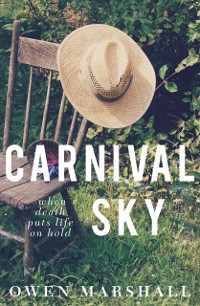 Cover Carnival Sky