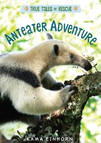 Cover Anteater Adventure