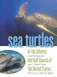Cover Sea Turtles of the Atlantic and Gulf Coasts of the United States