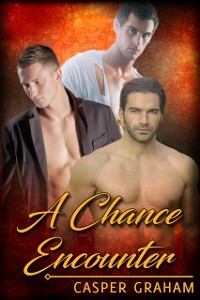 Cover Chance Encounter