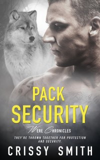 Cover Pack Security