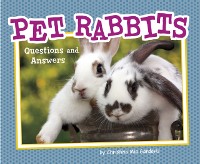 Cover Pet Rabbits
