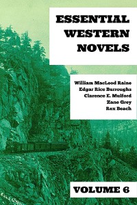 Cover Essential Western Novels - Volume 6