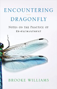 Cover Encountering Dragonfly