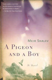 Cover Pigeon and a Boy